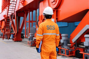 Fumigation & SGS inspection arranged