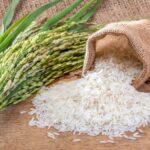 pakistani rice