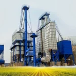 Steam & Sella Processing